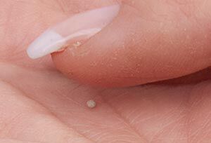 Small ball of clay in a hand